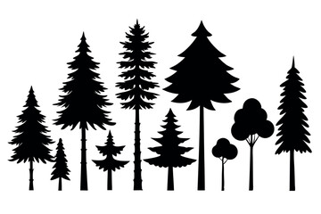 Fototapeta premium Silhouettes of evergreen trees in a forest&nbsp;setting