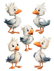 chicken and bird vector art