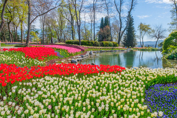 Spring Elegance at Emirgan Grove: Ottoman Pavilion Amid Blooming Tulips