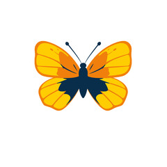 Fototapeta premium Butterfly with colorful wings isolated on white background