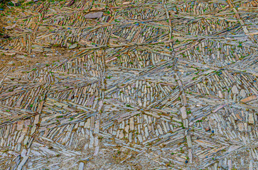 texture of the carpet