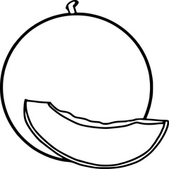 vector illustration of a Muskmelon
