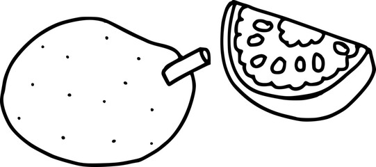 vector illustration of a Jackfruit 