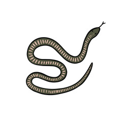 A snake in green and pink with stripes. Illustration created by hand. 