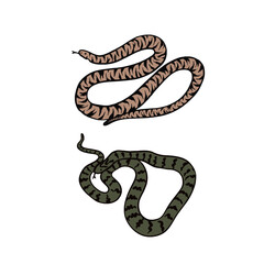 Two snakes in pink and green. Illustrations drawn by hand.