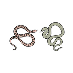 Two snakes in pink and green. Illustrations drawn by hand.