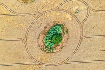 A bird's eye view of grain fields near Rolofshagen in Mecklenburg-Western Pomerania, with 