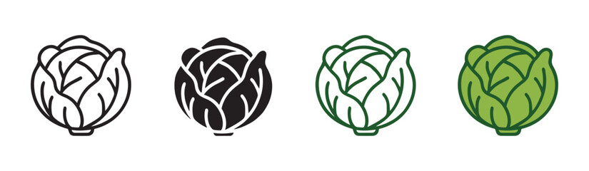 Cabbage vegetable icon set in outline and flat style , vector illustration . 