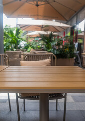 empty wooden dining table and chairs in urban oasis
