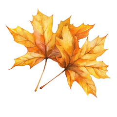 watercolor of Golden Autumn Leaves Glow, vector, isolated on a white background.