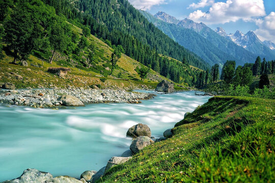 Crystal Waters of Lidder River Beneath Towering Pines and Mountains - Pahalgam, Kashmir, India