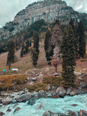 Lidder River Carving Through the Mountain Valleys of Pahalgam