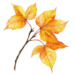 watercolor of Golden Autumn Leaves Glow, vector, isolated on a white background.