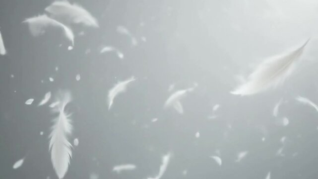 Soft white feathers floating against a light gray background  