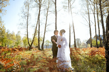 A bride and groom are standing in a field of grass with trees in the background