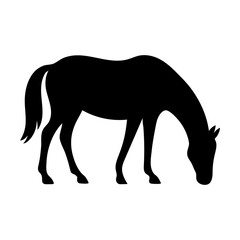 Horse silhouette grazing view in field