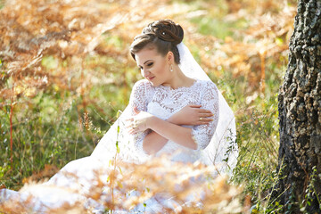 A bride is sitting in a field with a white dress and a veil