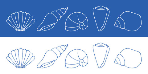 Blue and white seashell outlines chalk crayon pencil texture scallop, conch, nautilus, spiral. Hand drawn vector illustration design elements