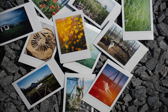 Colorful collection of polaroids capturing nature's beauty and rural life on a sunny afternoon surrounded by vibrant landscapes