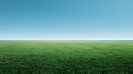 Fototapeta premium green field and blue sky