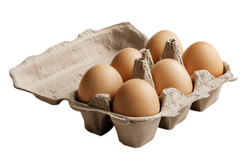 Egg carton half full matte paper pulp texture food packaging detail isolated on transparent background 