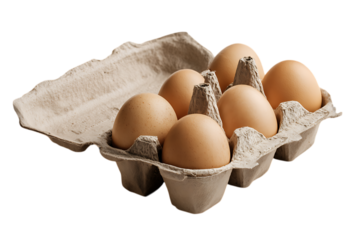 Egg carton half full matte paper pulp texture food packaging detail isolated on transparent background
