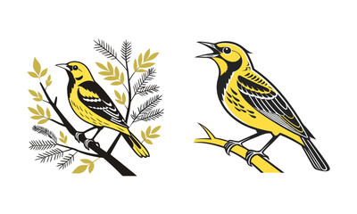 vector illustration of a bird