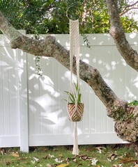 Macrame plant hanger with pot and aloe plant, hanging in tree white fence