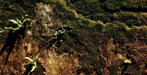 long natural background, The image captures the concept of resilience and persistence of nature in challenging environments.