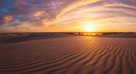 Fototapeta premium Golden Desert Sunset: A Breathtaking Panorama