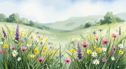  A joyful watercolor illustration of a blooming wildflower meadow, filled with soft spring colors and expressive brushwork.