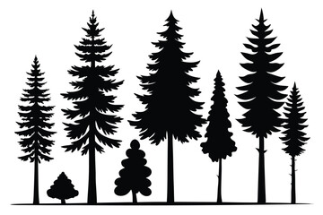 Fototapeta premium Silhouettes of evergreen trees in a forest&nbsp;setting