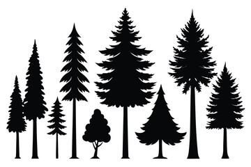 Obraz premium Silhouettes of evergreen trees in a forest&nbsp;setting