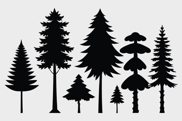 Fototapeta premium Silhouettes of evergreen trees in a forest&nbsp;setting