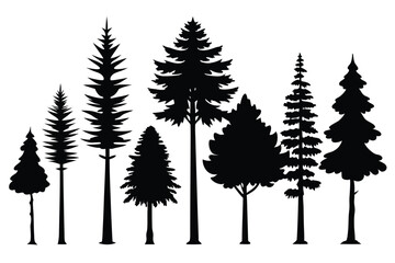 Obraz premium Silhouettes of evergreen trees in a forest&nbsp;setting