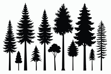 Obraz premium Silhouettes of evergreen trees in a forest&nbsp;setting