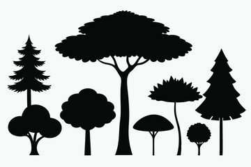 Fototapeta premium Silhouettes of evergreen trees in a forest setting