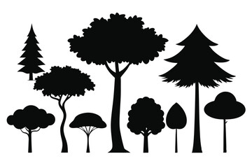 Fototapeta premium Silhouettes of evergreen trees in a forest setting
