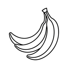 vector illustration of banana bunch