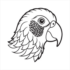 Rainbow Lorikeet Bird – Tropical Beauty with Bright Feathers and Big Personality