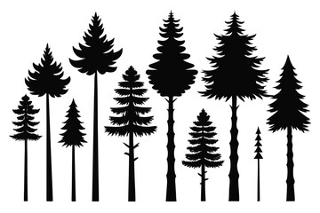 Obraz premium Silhouettes of evergreen trees in a forest&nbsp;setting