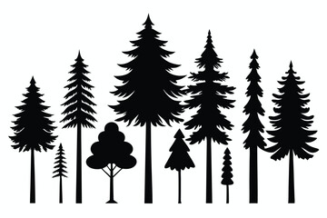 Silhouettes of evergreen trees in a forest setting