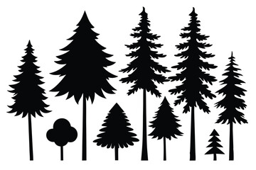 Fototapeta premium Silhouettes of evergreen trees in a forest&nbsp;setting