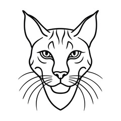 vector illustration of bobcat head