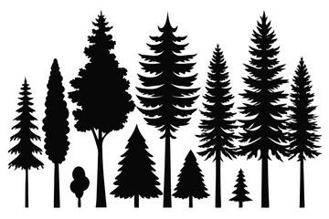 Obraz premium Silhouettes of evergreen trees in a forest&nbsp;setting