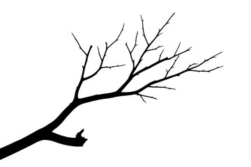Fototapeta premium Vector illustration of a dry or dead tree branch silhouette in black