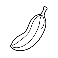 bush banana vector illustration