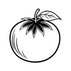 vector illustration of bush tomato fruit