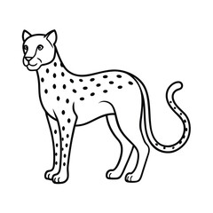 vector illustration of a cheetah