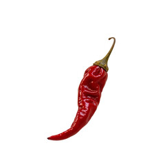 Dry chili pepper transparent background